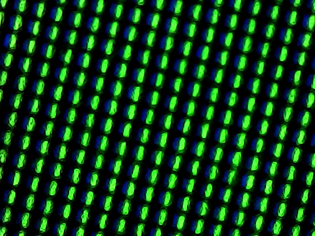 Pantalla de Celular